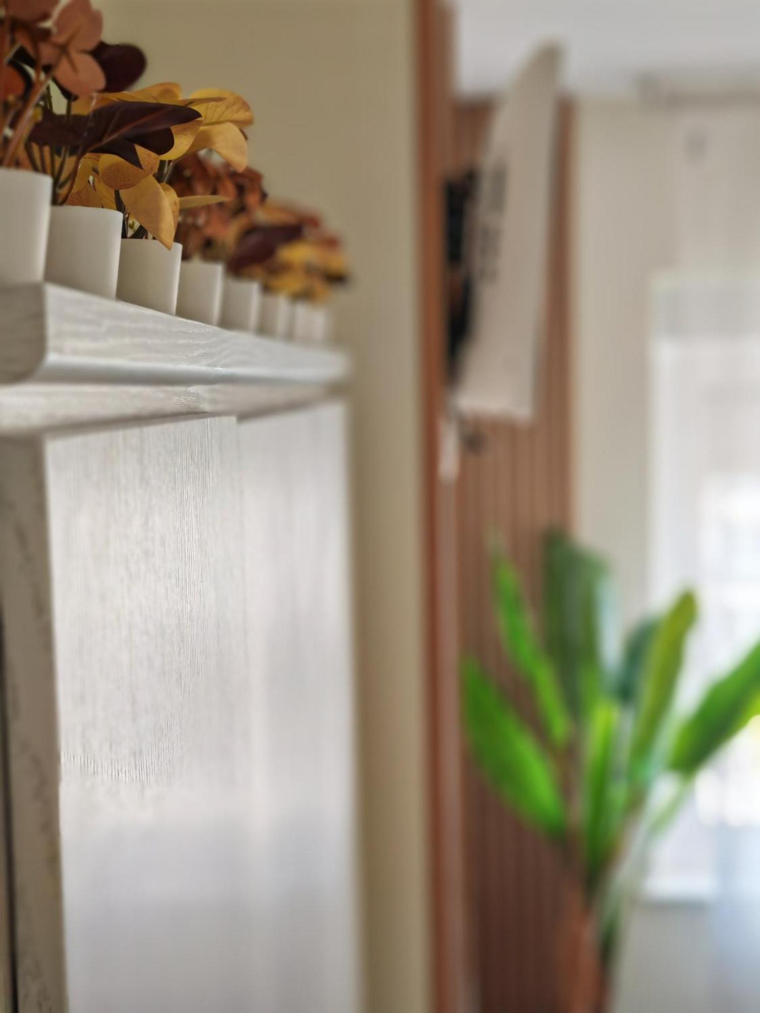 Apartamento Ladevesa เอลเช ภายนอก รูปภาพ